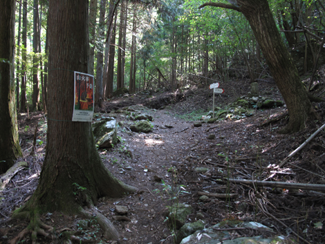 20151014hike (84)